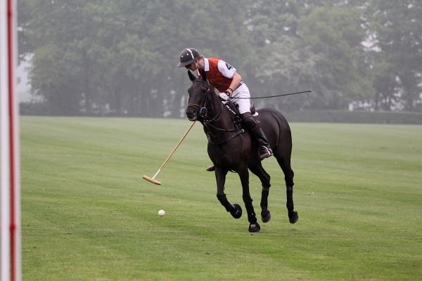 Polo_Art   069.jpg